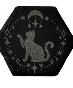Playful cat with stars coaster pack